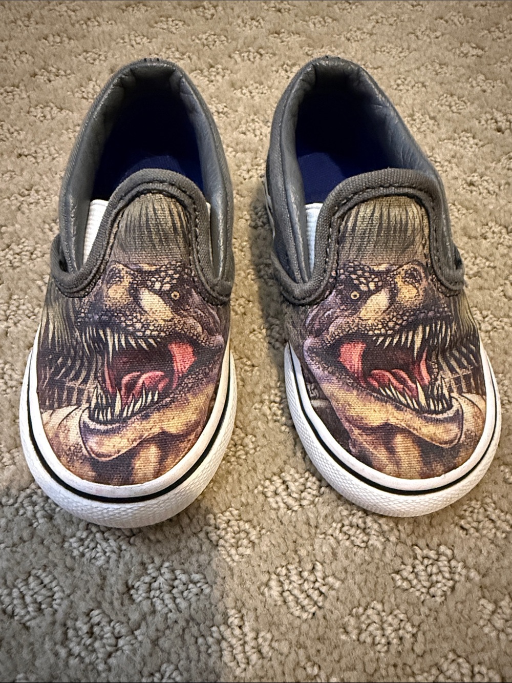 Vans Dinosaur Toddler Slip-On Shoes, Toddler 5